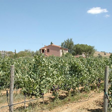 Agriturismo Pian Dei Pini モンティアーノ エクステリア 写真
