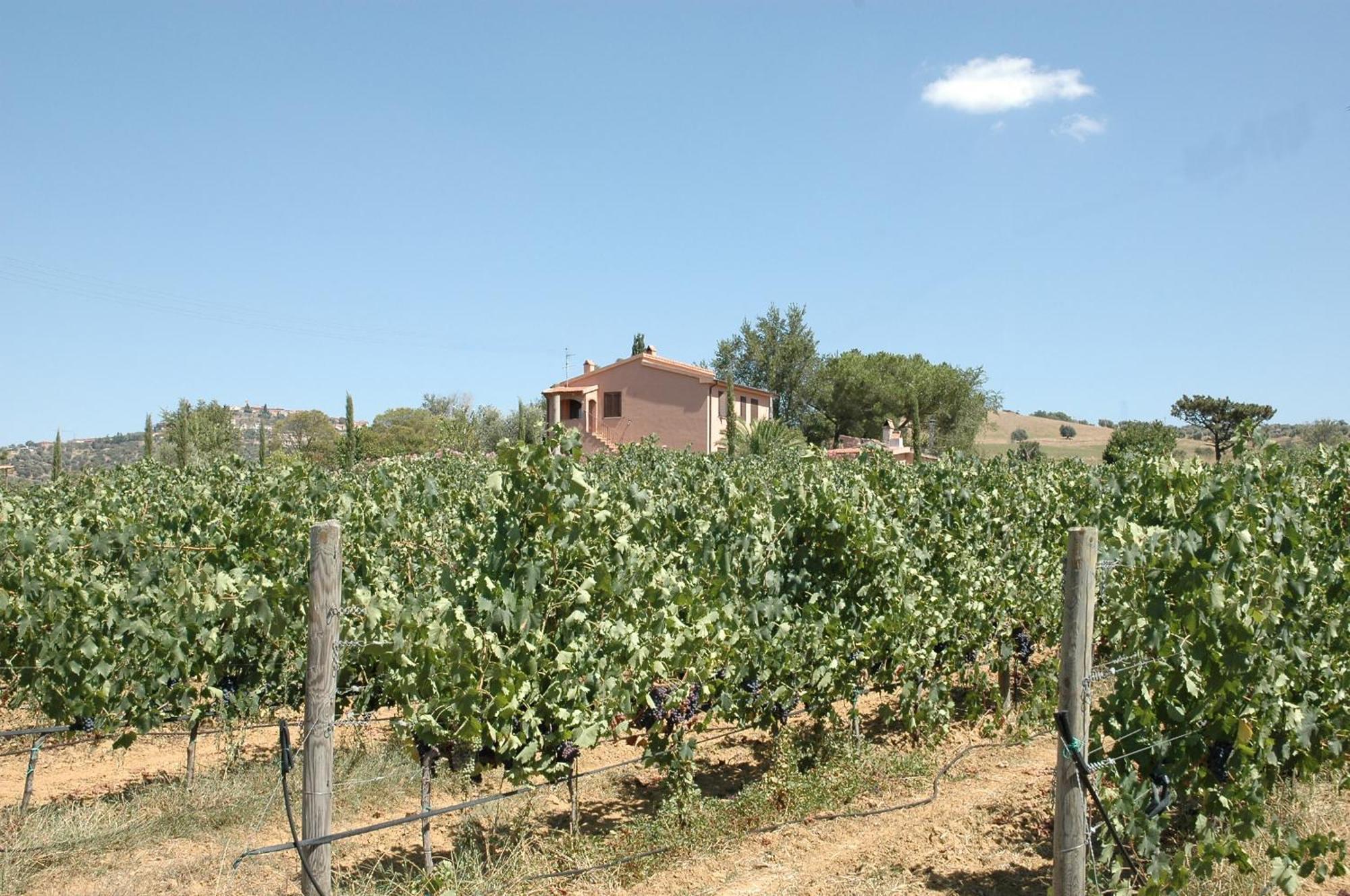 Agriturismo Pian Dei Pini モンティアーノ エクステリア 写真