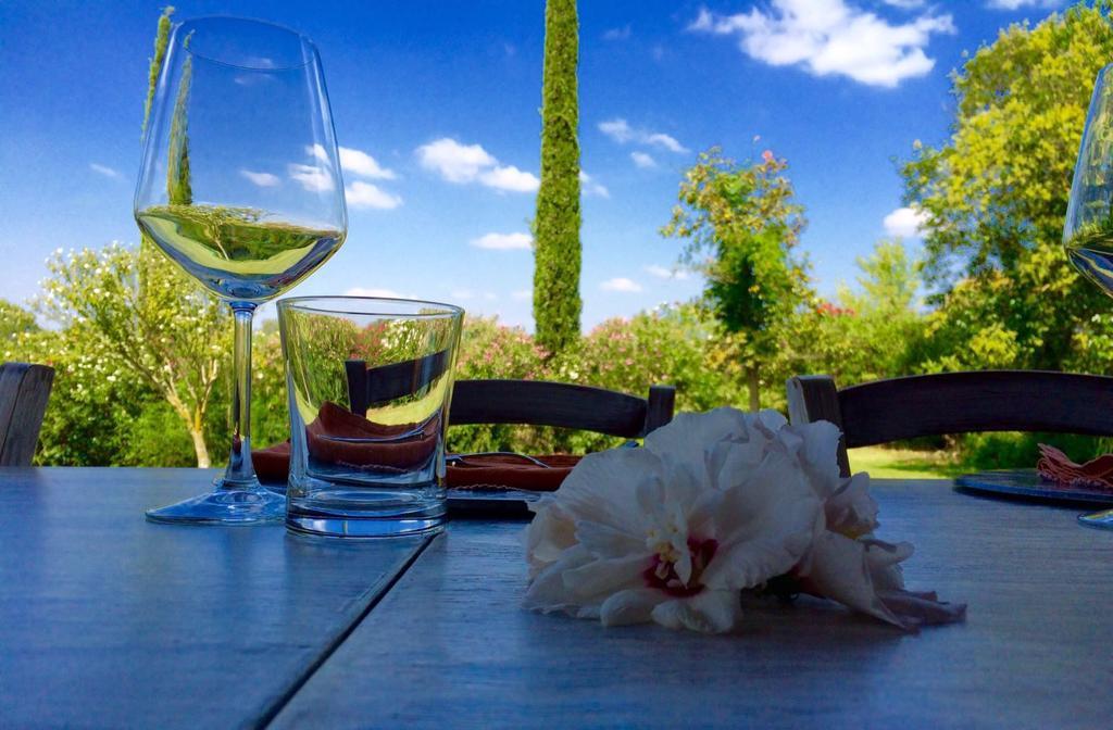 Agriturismo Pian Dei Pini モンティアーノ エクステリア 写真